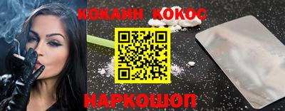 сатива Кингисепп