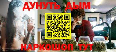 сатива Кингисепп
