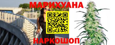сатива Кингисепп