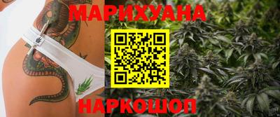 сатива Кингисепп