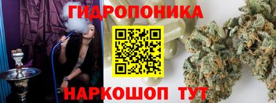 сатива Кингисепп