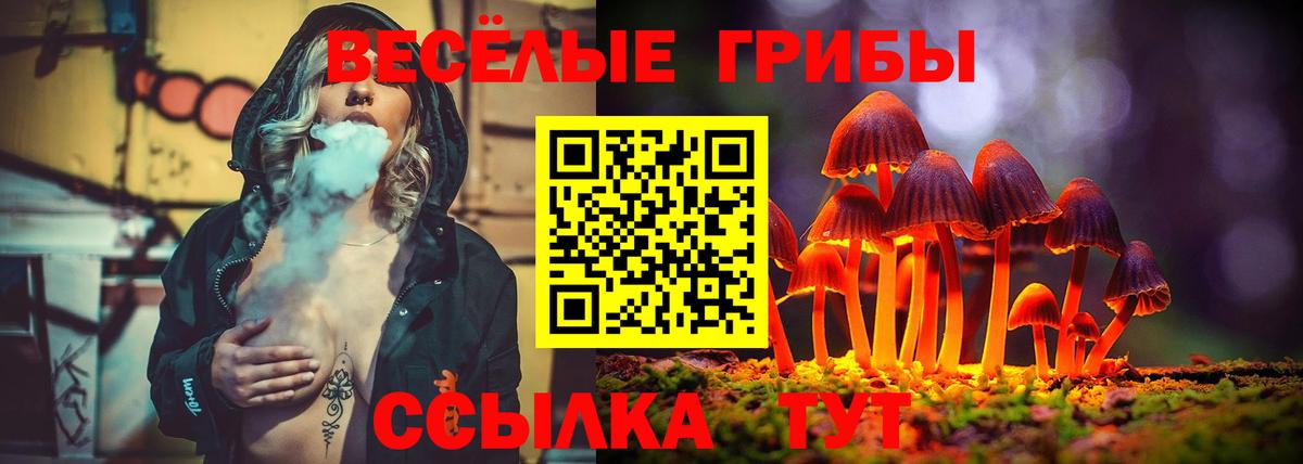 Галлюциногенные грибы GOLDEN TEACHER Кыштым